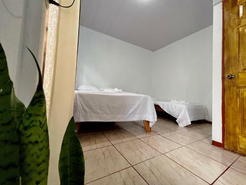 Hostal Natural Experience House