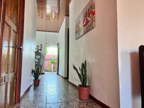 Hostal Natural Experience House