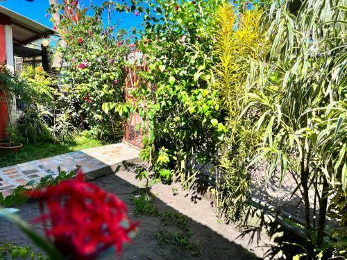 Hostal Natural Experience House