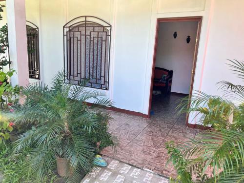 Hostal Natural Experience House