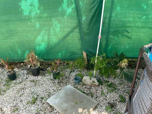 Apartamento Riverland Turtle House