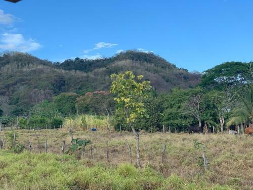 Apartamento Riverland Turtle House