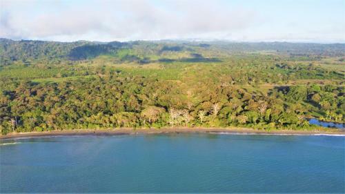 Four Monkeys Eco Lodge