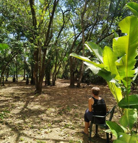 Four Monkeys Eco Lodge