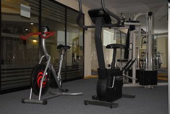 Hotel Aranzaz� Aguascalientes