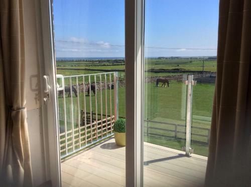 Bed & Breakfast Springwood