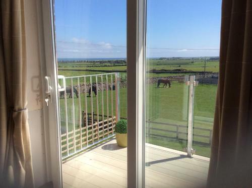 Bed & Breakfast Springwood