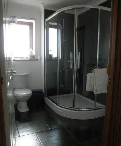 Bed & Breakfast Springwood