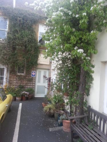 Chestnut Bed And Breakfast
