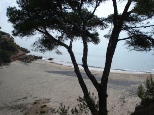 Apartamento Junto Al Mar Cala Las Sirenas Wifi Gratis