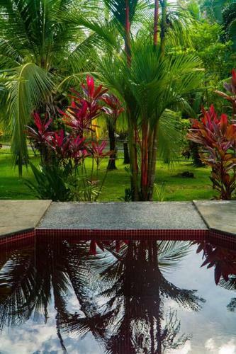 Villa Walk To The Beach, Chill By The Pool. Casa Sol!