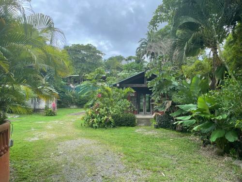 Manuel Antonio A 3km Del Parque, Sobre Calle Principal