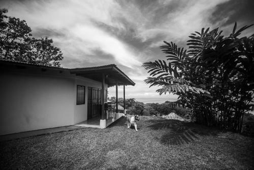 Hotel Ballena Paraiso