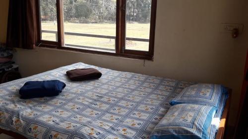 Hostal Farmers Corner Guest House Aronda Close To Arambol ( North Goa Boder)