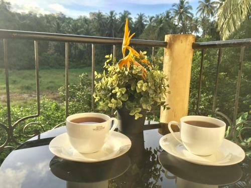 Villa Sun-kissed Holidays, Dabolim, Goa-emerald.