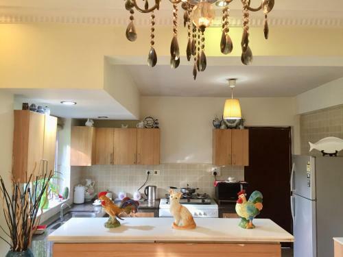 Villa Sun-kissed Holidays, Dabolim, Goa-emerald.