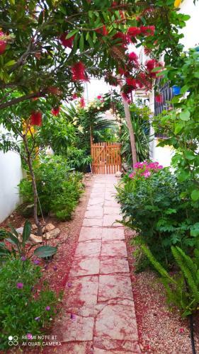 Apartamento Loft Claudia Muy Cerca de Playa Wifi Gratis
