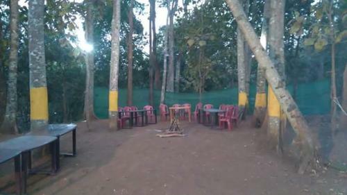 Drm Jungle Stay