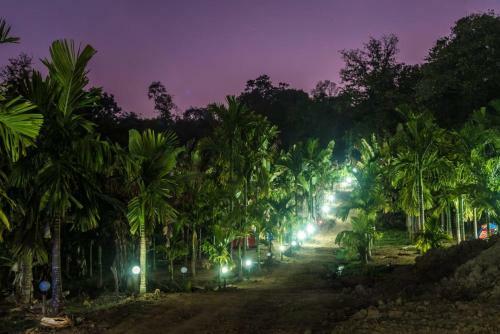 Dandeli Packages