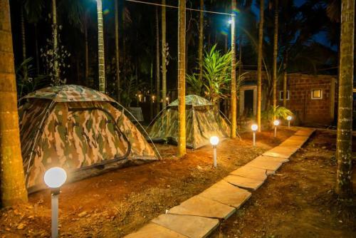 Dandeli Packages