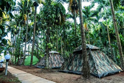 Dandeli Packages