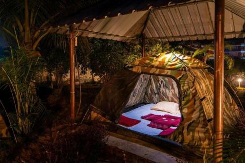 Hotel Dandeli Jungle Resort