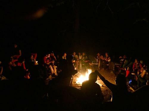 Adventuredandeliwildlife