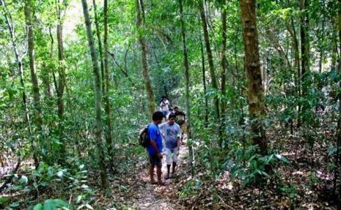 Adventure Inn Dandeli