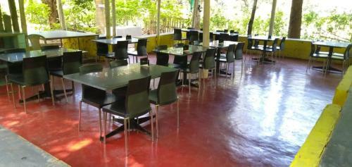 Dandeli Jungle Homestay