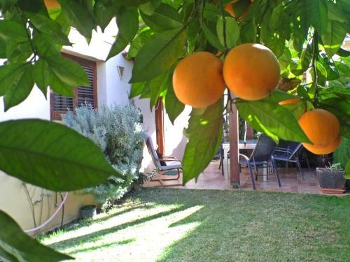 Villa Doree 207