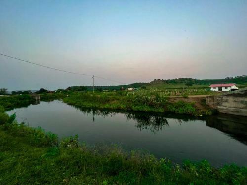 Esha Farm,s