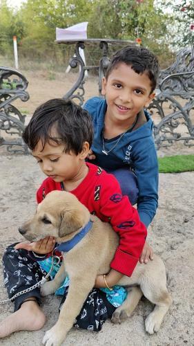 Esha Farm,s