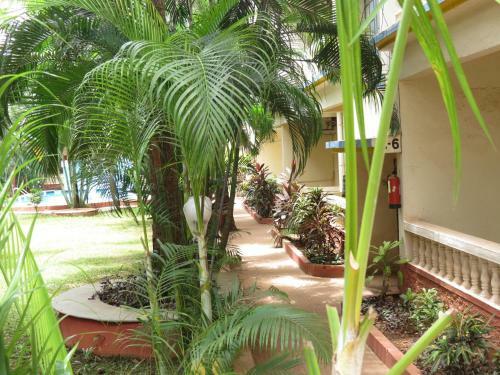 39) Serviced Apartment Calangute Close To Beach