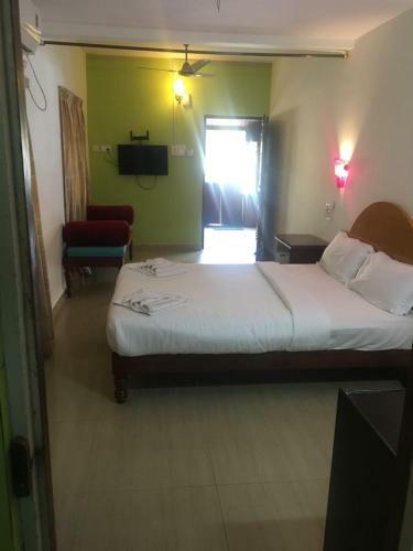 Hostal Baga Electric Cats