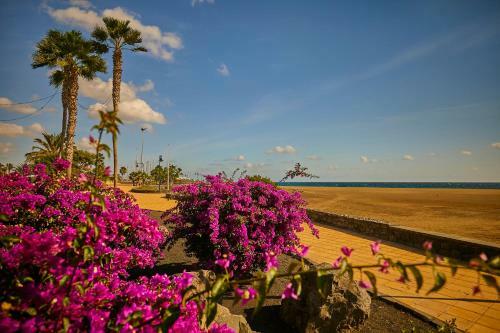 Villa Palmeras Beach Puerto Del Carmen