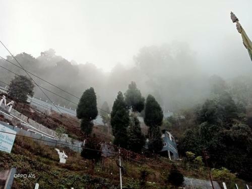 Madys View -aaple Ghar