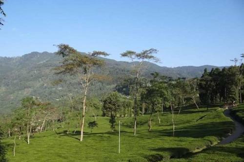 Villa Goonkeshari Homestay