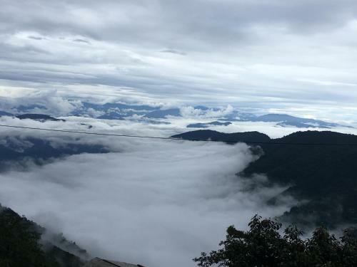 Hidden Woods Homestay