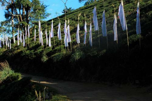 Travellers Homestay-offbeat Destination