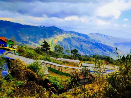 Solitude In Himalayas, Villa