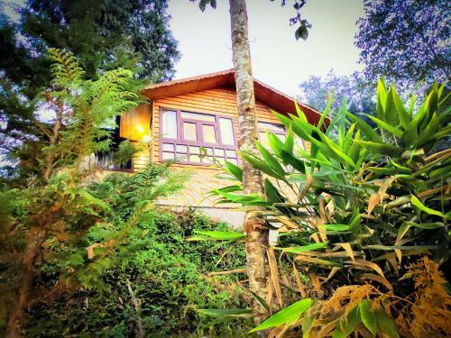 Solitude In Himalayas, Villa