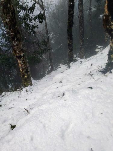 Solitude In Himalayas, Villa