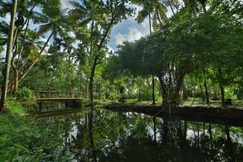 Village Canopy