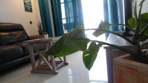 Apartamento Magmamia
