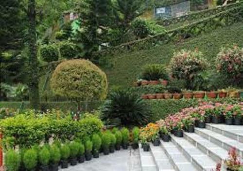 Hotel Sahastradhara Ropeway