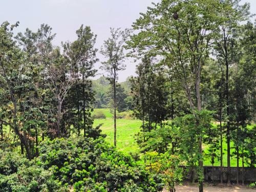 Nature View Homestay