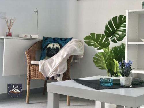 Apartamento Casa Tuc�n Puerto Del Carmen