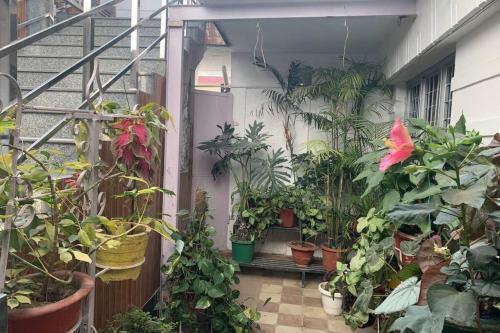 Apartamento Casa Hill Queen