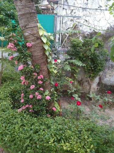 Bed & Breakfast Gurukrupa Bunglow