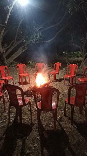 Shekhar Big Cat Corbett Safari Camp